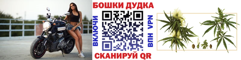 Наркошоп купить Каннабис  Cocaine  ГАШ  Альфа ПВП  Псилоцибиновые грибы  МЕФ  Лермонтов