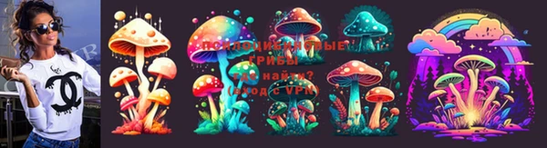 твердый Карпинск