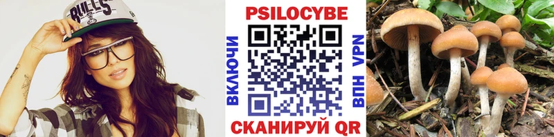 Галлюциногенные грибы GOLDEN TEACHER Купить где Лермонтов